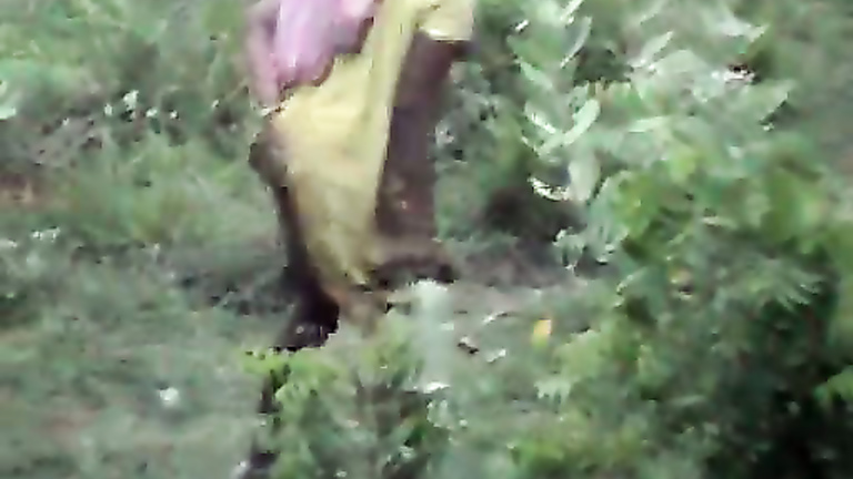 Indian women pissing in the grass in voyeur video