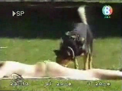 Dog messes with girls tanning at the park