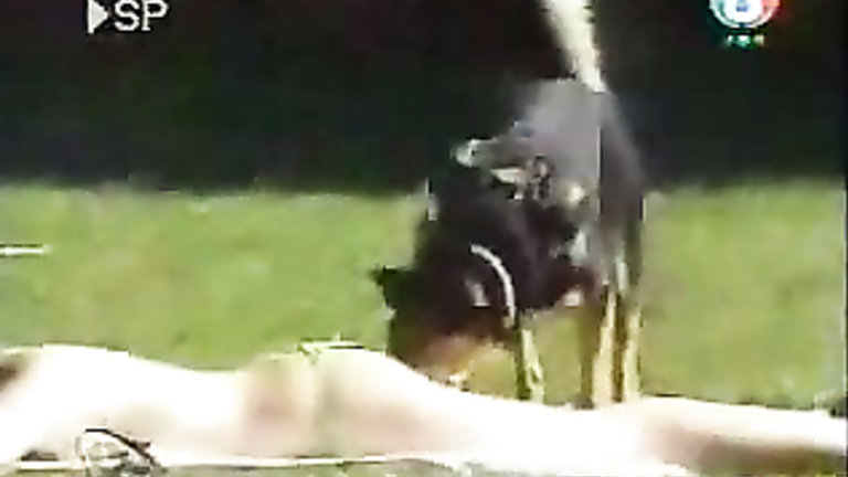 Dog messes with girls tanning at the park