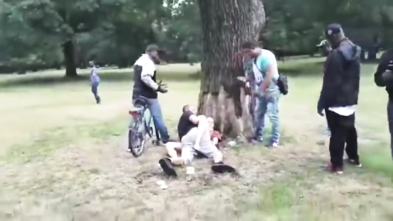 Wasted brunette bitch gets banged in the city park