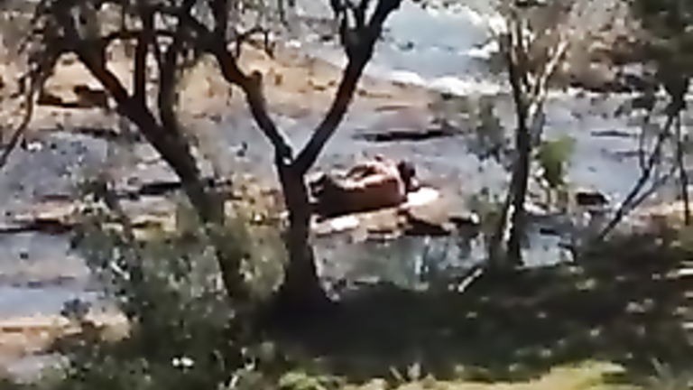 Shameless couple gets it on at the beach of a local lake