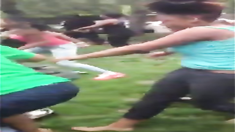 Big brawl with black chicks throwing punches
