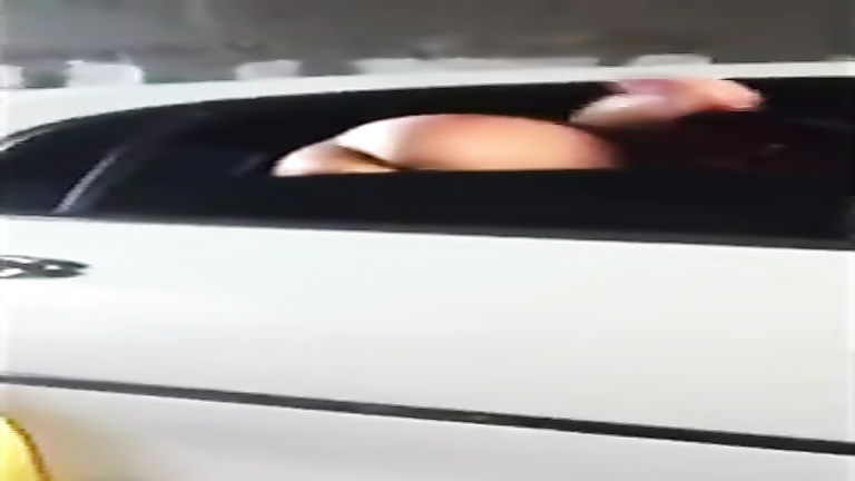 Cutie in a limo flashes her tits and ass
